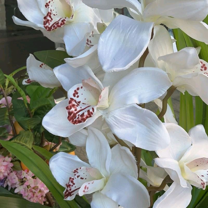 Pianta Orchidea fiori in tessuto110cm