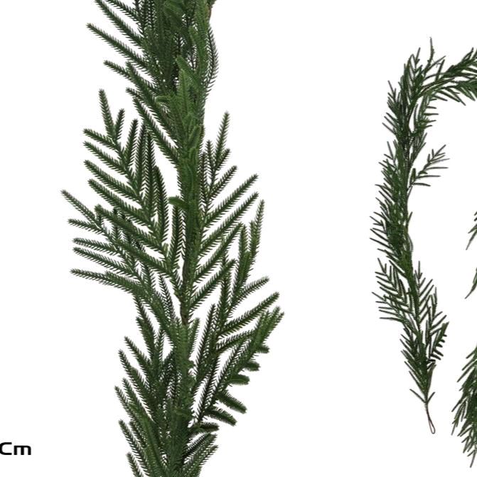 Tralcio in varie misure e tipi per decorare il tuo ambiente bei tuoi momenti felici