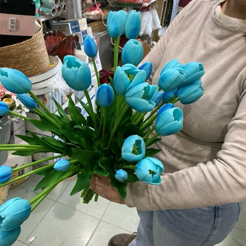 Set 5 tulipani soft touch