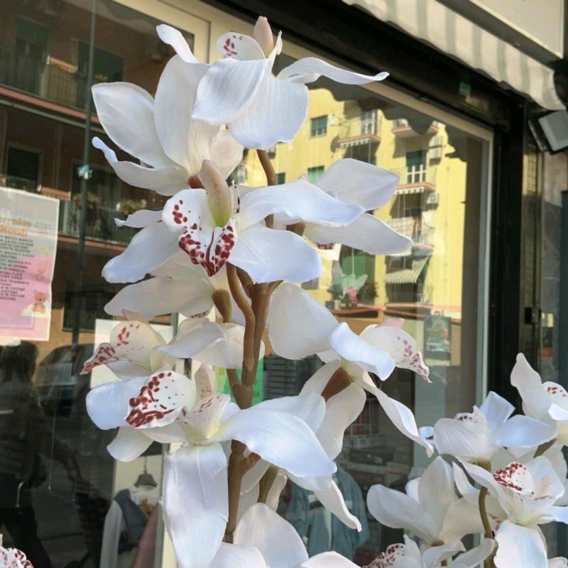 Pianta Orchidea fiori in tessuto110cm