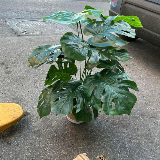 Montera pianta artificiale decorativa di 60 cm con cestino incluso
