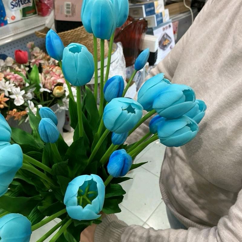 Set 5 tulipani soft touch